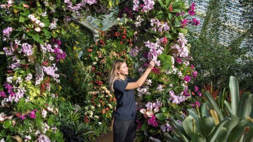 Woman with orchids in greenhouse